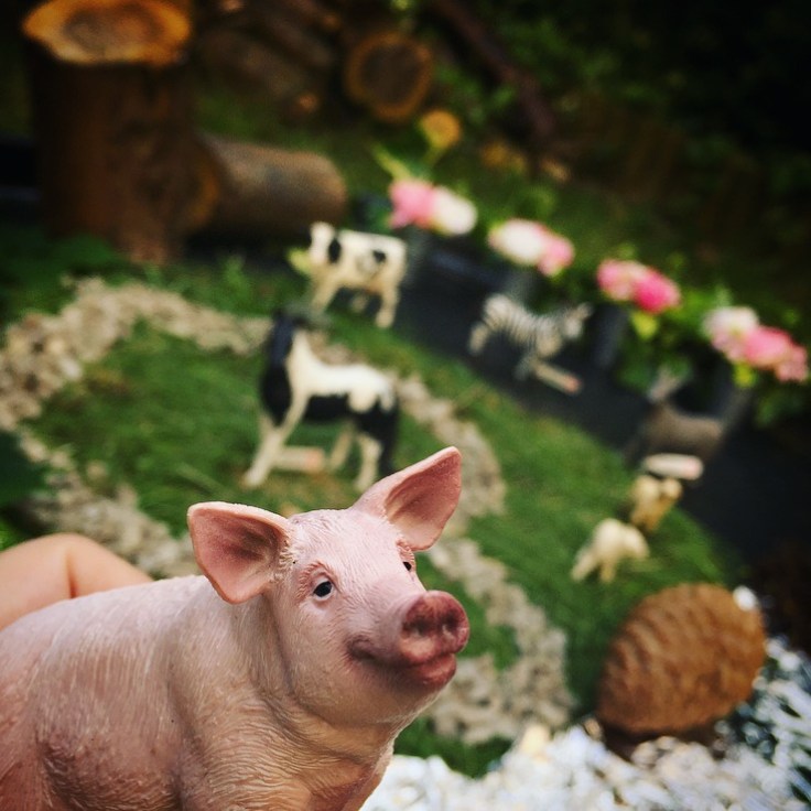 Schleich Educational Play