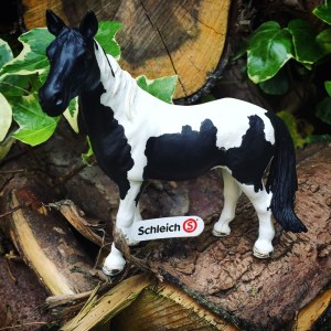 Schleich Educational Play