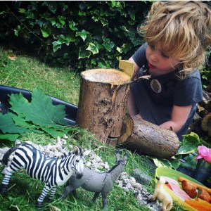 Schleich Educational Play