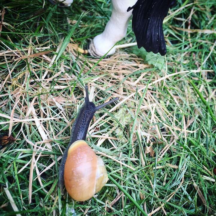 Schleich Educational Play