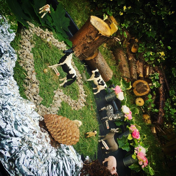 Schleich Educational Play