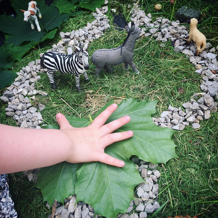 Schleich Educational Play