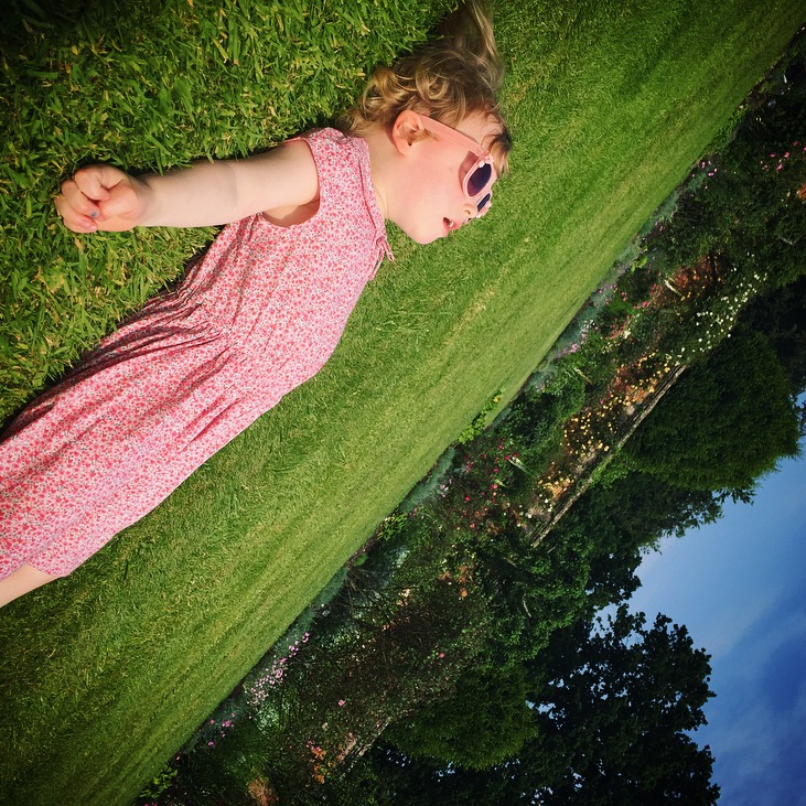 Roses at Mottisfont, National Trust 