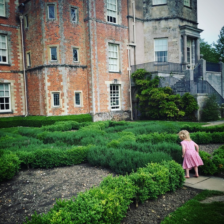 Roses at Mottisfont, National Trust 