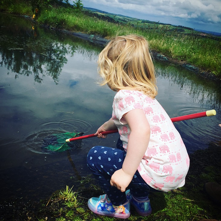 Pond dipping at Pennywell Farm