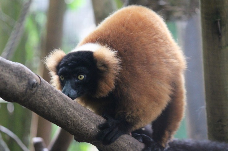 Sheldon, Devon Holiday Review