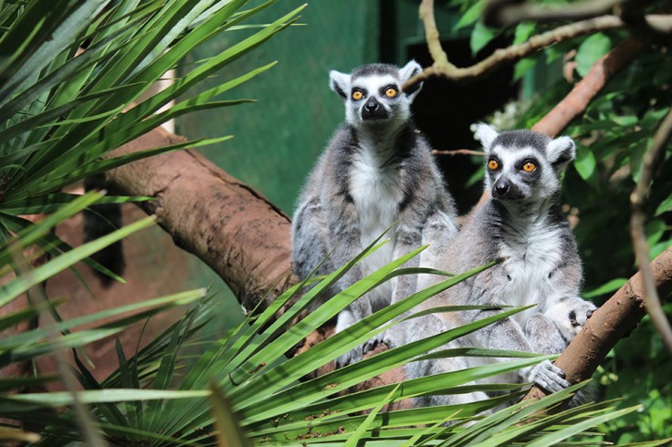 Sheldon, Devon Holiday Review