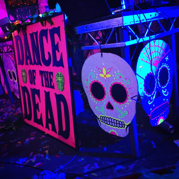 Blissfields Festival Review 2016