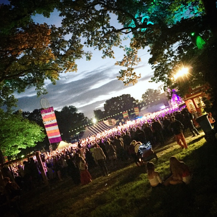 Blissfields Review 2016