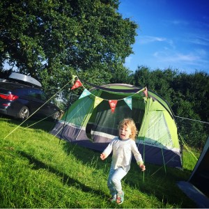 Jimmy's Farm Harvest Festival