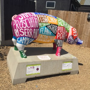 Jimmy's Farm Harvest Festival