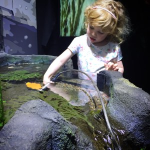 New Ideas Zone at Weymouth SeaLife centre