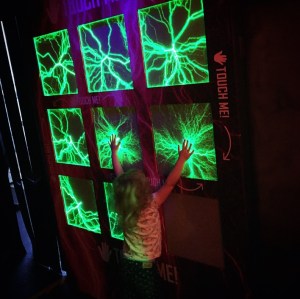 New Ideas Zone at Weymouth SeaLife centre