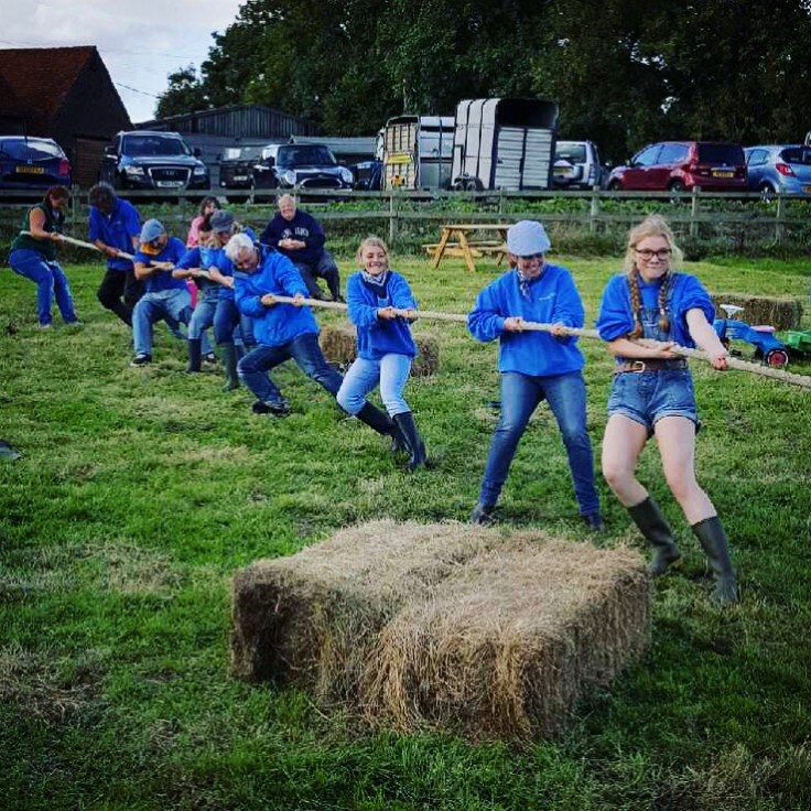 Millers Ark, Hampshire Review