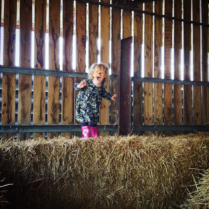 Millers Ark, Hampshire Review