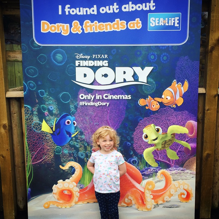 New Ideas Zone at Weymouth SeaLife centre