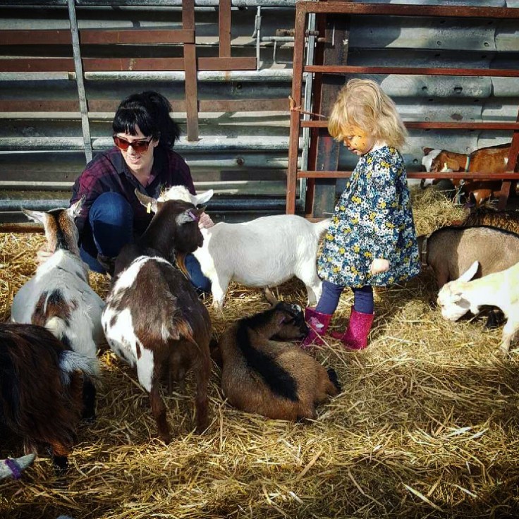 Millers Ark, Hampshire Review