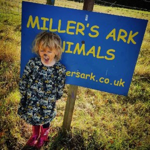 Millers Ark, Hampshire Review