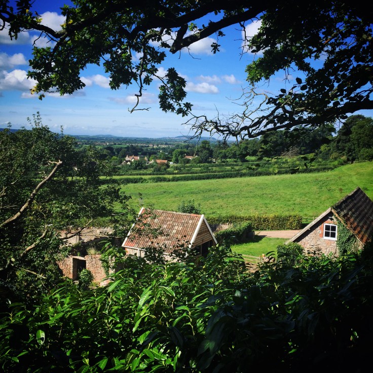 Uplands Treehouse, Somerset Review