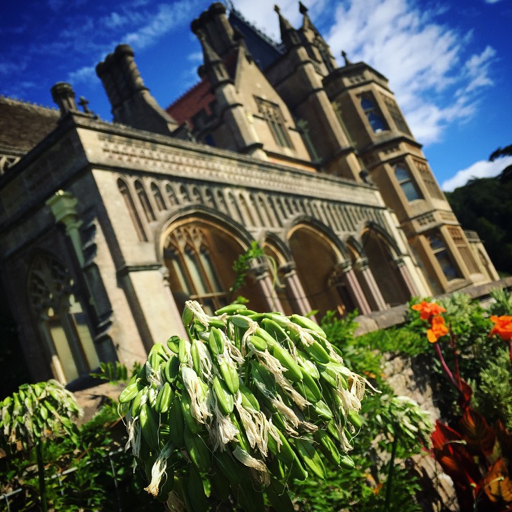 Uplands Treehouse, Somerset Review