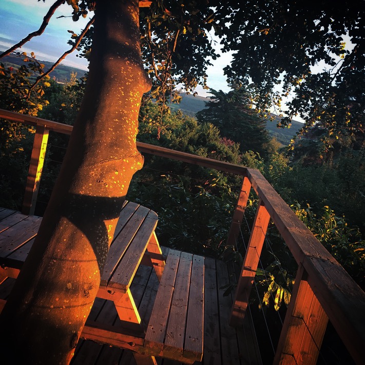 Uplands Treehouse Review