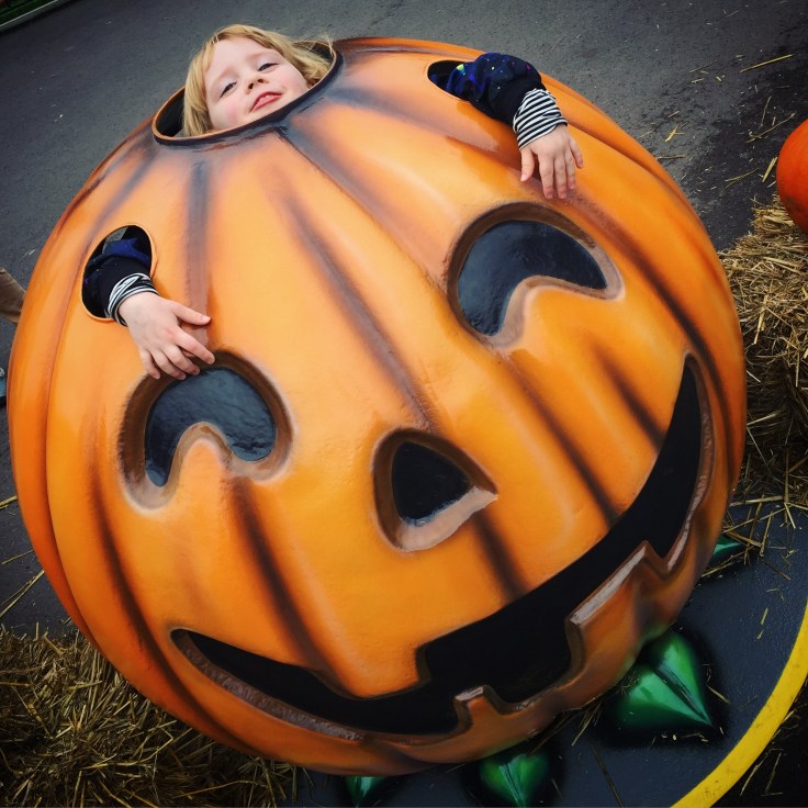 Paulton's Park Halloween