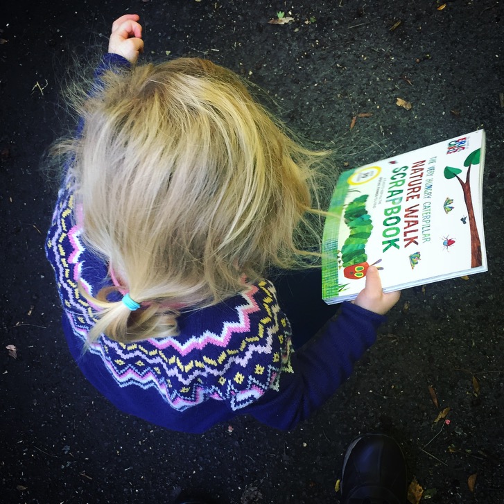 The Nature Walk Scrapbook