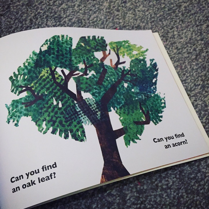 The Nature Walk Scrapbook