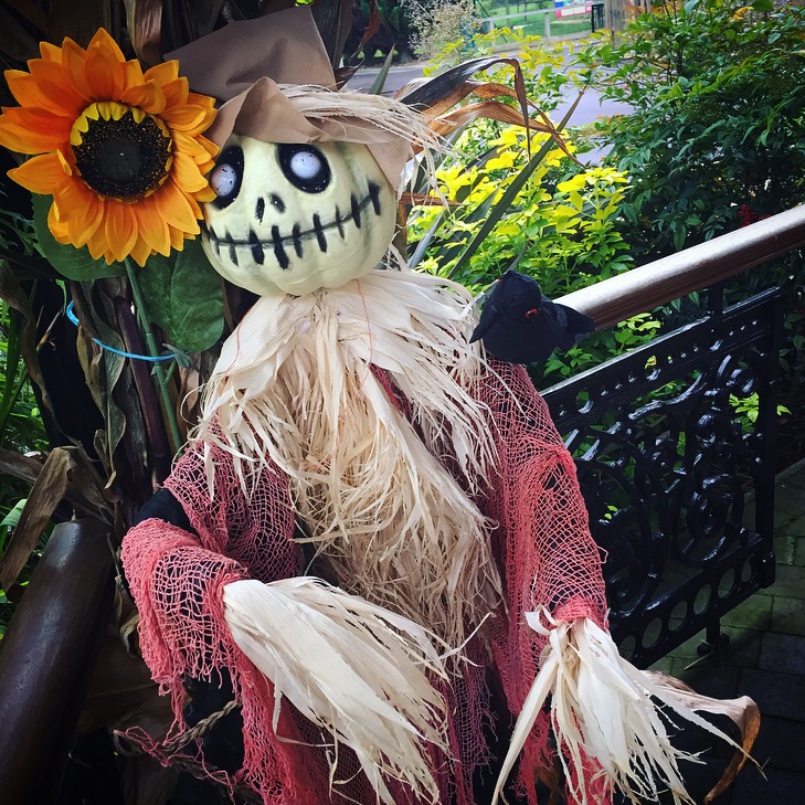 Paulton's Park Halloween