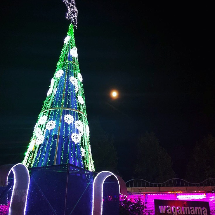 Basingstoke Christmas Light Switch on