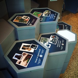 Giant's Causeway Travel Review