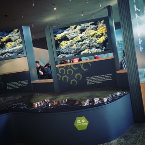 Giant's Causeway Travel Review