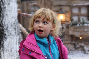 LaplandUK Review 2016