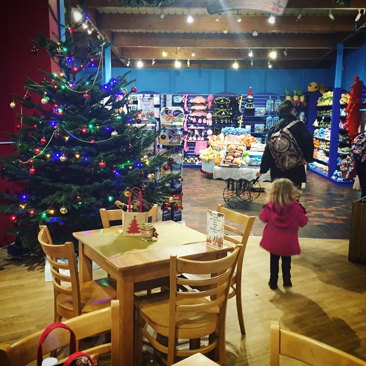 Christmas at Weymouth SEALIFE