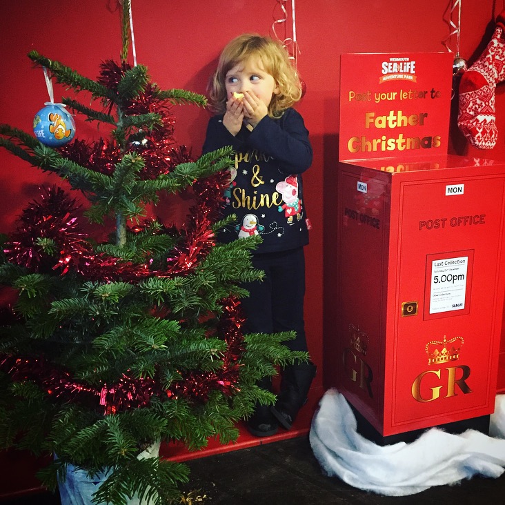 Christmas at SEALIFE Weymouth