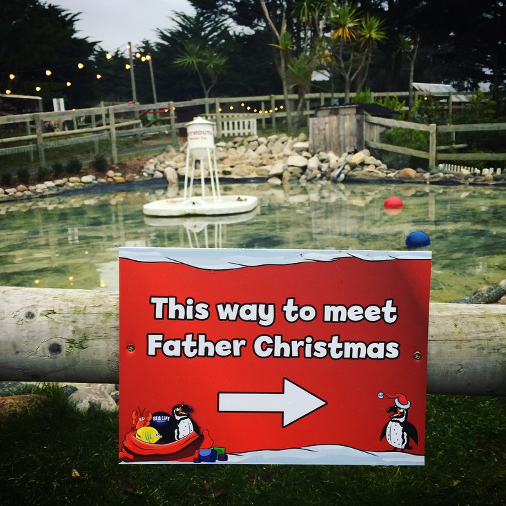 Christmas at Weymouth SEALIFE Adventure Park