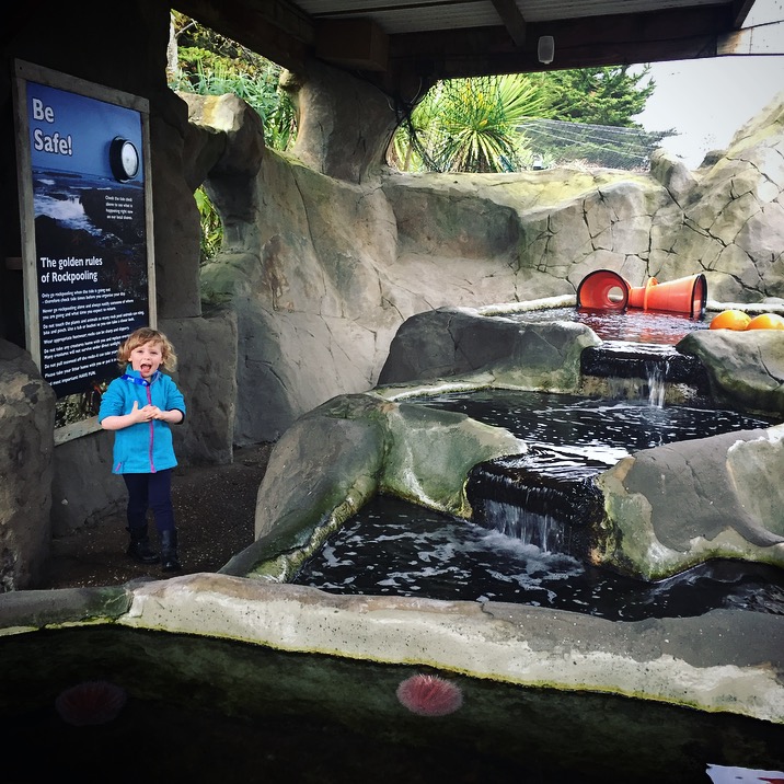 Winter at SEALIFE Centre Weymouth