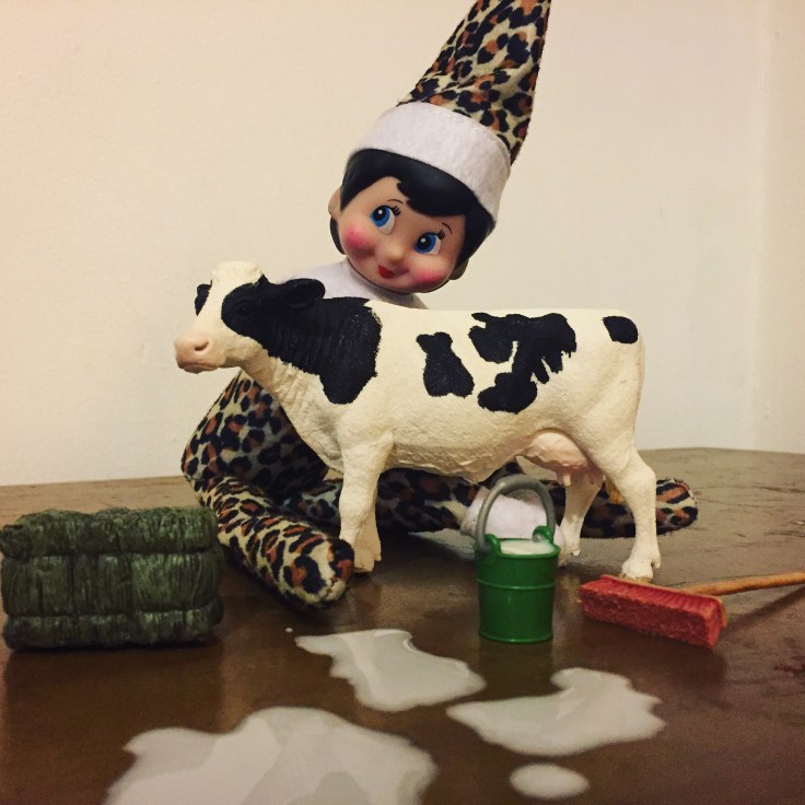 #Elfontheshelf ideas