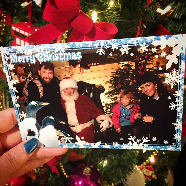 Christmas at Weymouth SEALIFE