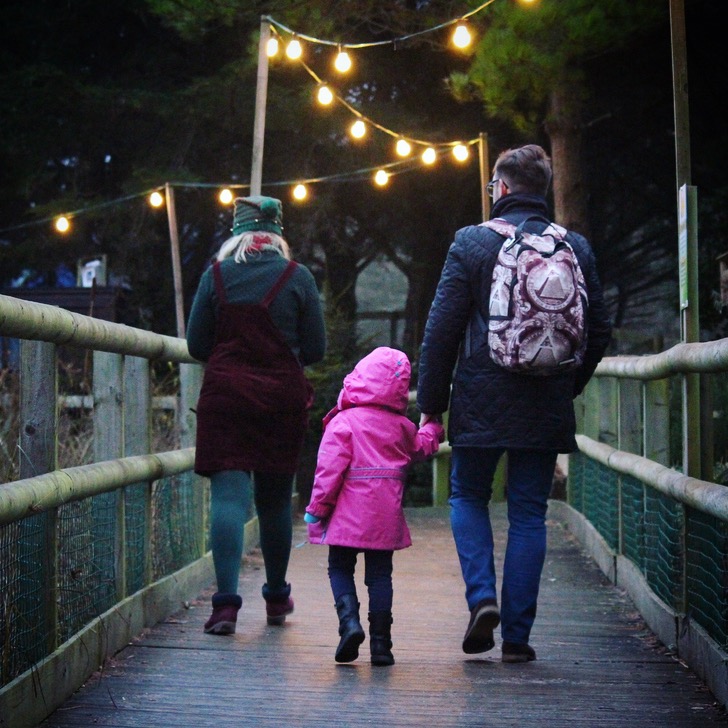 Christmas at Weymouth SEALIFE