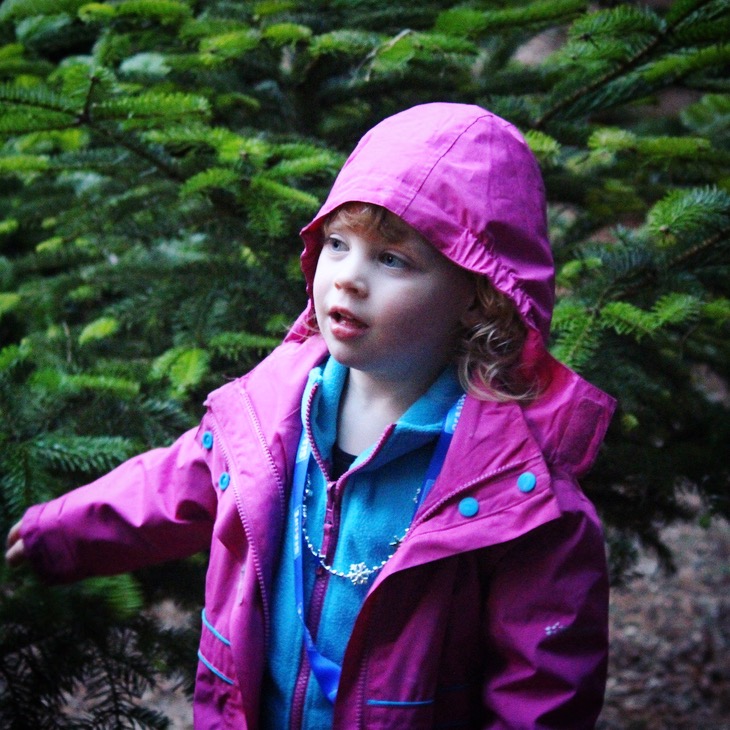 Christmas at Weymouth SEALIFE