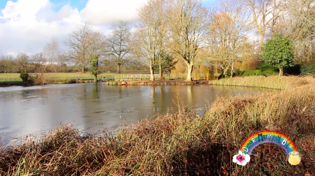 Winter at The Vyne, National Trust