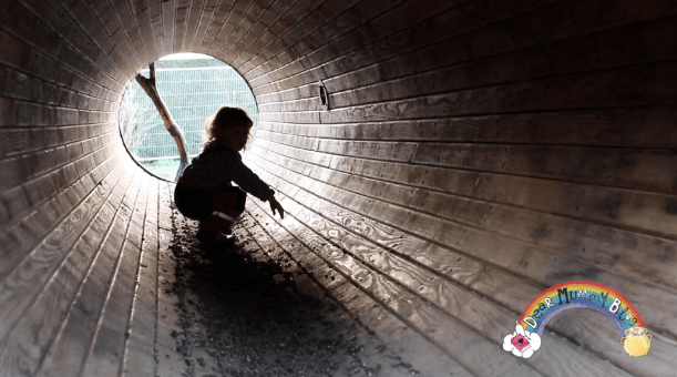 Winter at The Vyne, National Trust