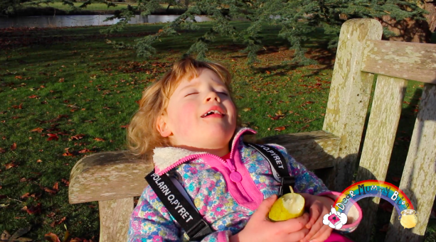 Winter at The Vyne, National Trust