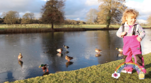 Winter at The Vyne, National Trust