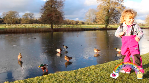Winter at The Vyne, National Trust