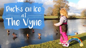 the-vyne-national-trust