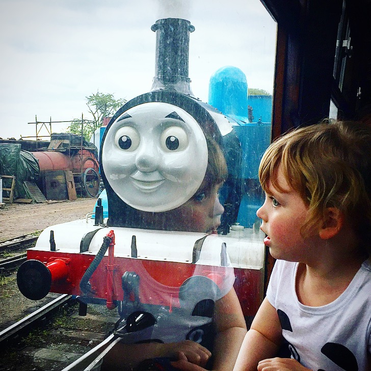 The Watercress Line Review