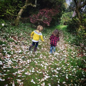 Exbury Gardens Review