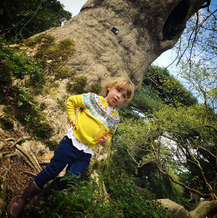 Exbury Gardens Review